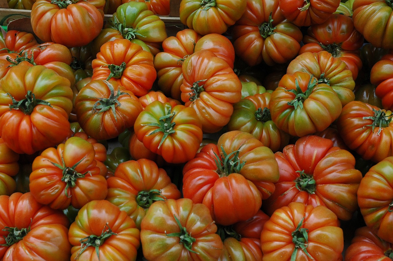 スペインの高級品種のトマト ラフ・トマト（トマテ・ラフ）
